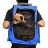 pet carrier bag with trolley