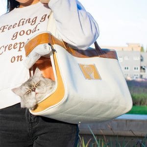 canvas cat dog carrier